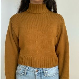 Wilfred turtle neck cropped knit sweater